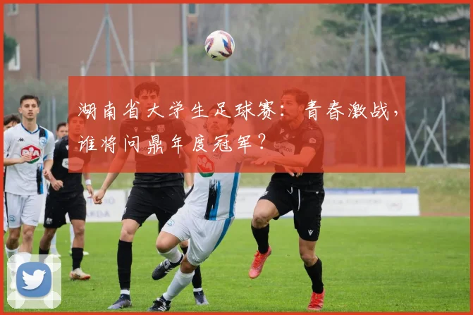 湖南省大学生足球赛：青春激战，谁将问鼎年度冠军？